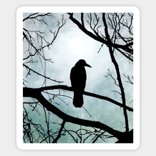 Bird 77 Crow Raven Sticker